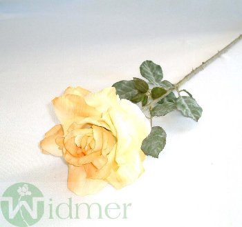 Rose x1 70 cm