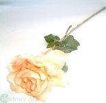 Rose x1 70 cm