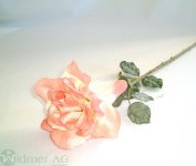 Rose x1 70 cm
