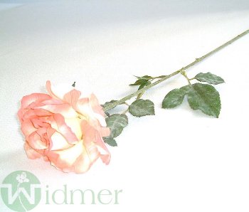 Rose x1 60 cm