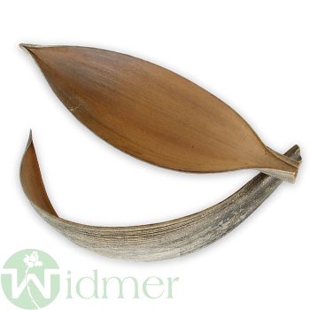 Cocosschale 30-40 cm, 50/VE
