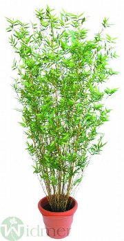 Bambusbaum 150 cm