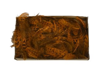 Federn Hahn, 10g/Box