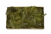 Federn Hahn, 10g/Box