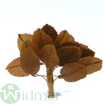 Rosen-Laub 8 cm