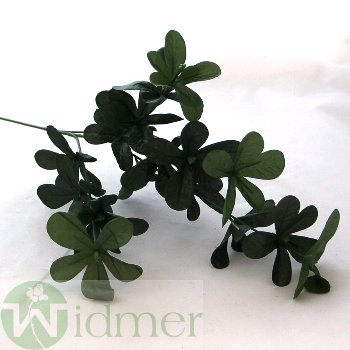 Azaleenzweig 40 cm