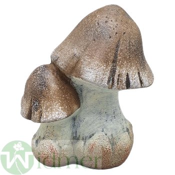 Pilz x2, H12 cm