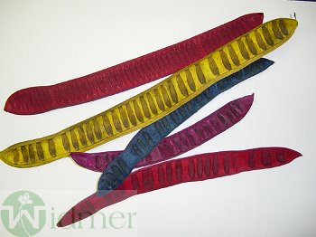 Bohnenschale 40-50 cm, 50/Krt