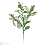 Magnolienzweig x3 28/65 cm