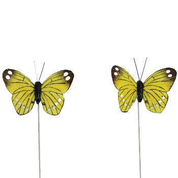 Schmetterling auf Draht,24/Bx