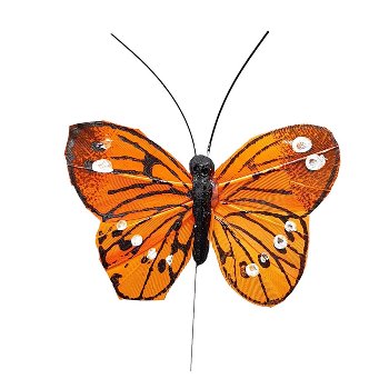 Schmetterling auf Draht,24/Bx