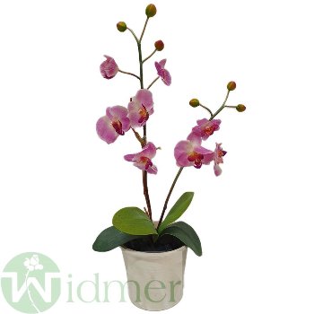 Orchidee x2 52 cm