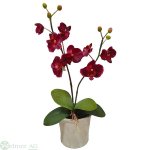 Orchidee x2 52 cm