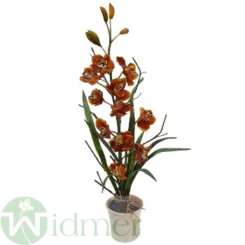Orchidee 80 cm