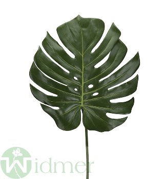 Monstera-Blatt D3/60 cm