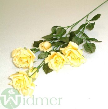 Rose 40 cm
