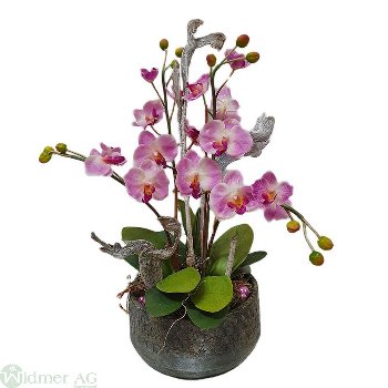 Orchideen-Kreationen