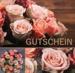 Gutschein, 49 29 10026