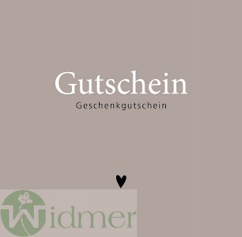 Gutschein, 49 29 10028