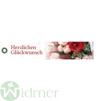Schleife 3x17 cm, 49 09 11196