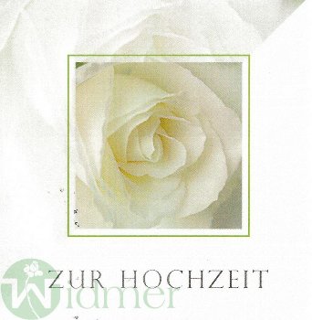 Karten LB 8x8 cm,901190052